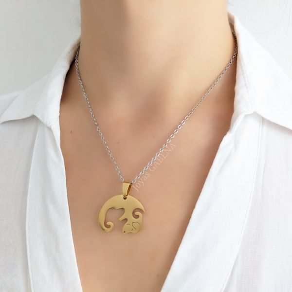 collar yin yang perro circulo dorado